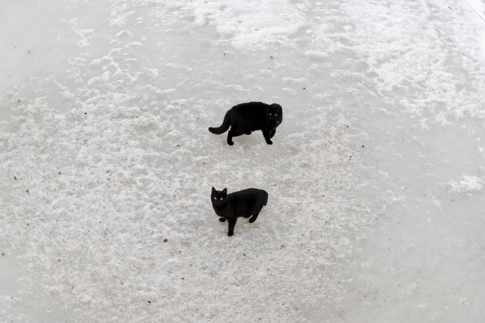 Photograph by Константин Пухов