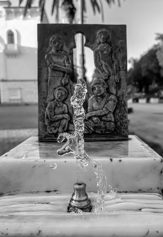 Photograph by Рябоконь Ирина