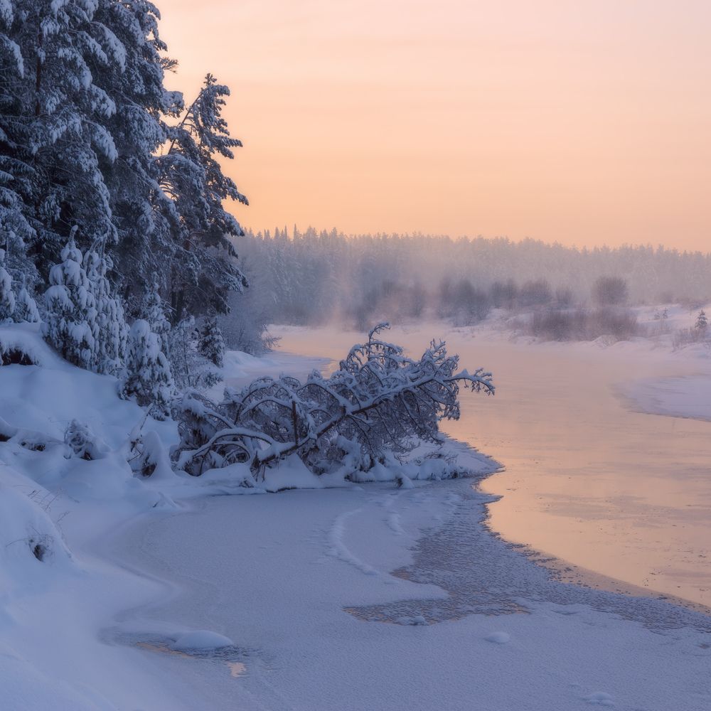 Photograph by Архипкин Александр