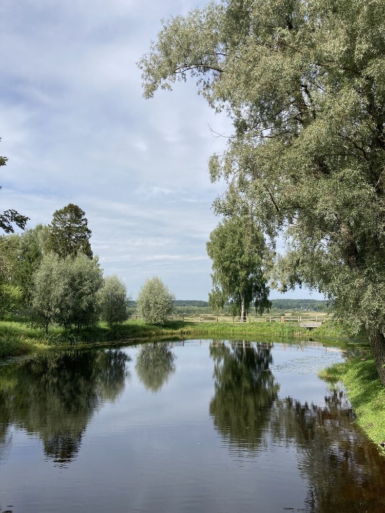 Photograph by Светлана