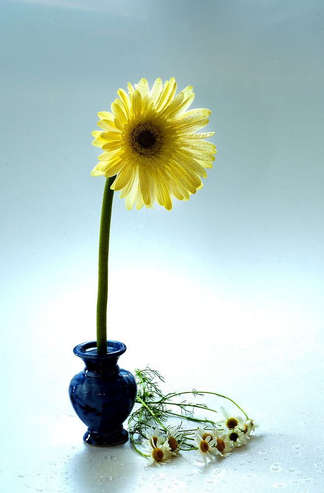 Photograph by Сергей Табатчиков