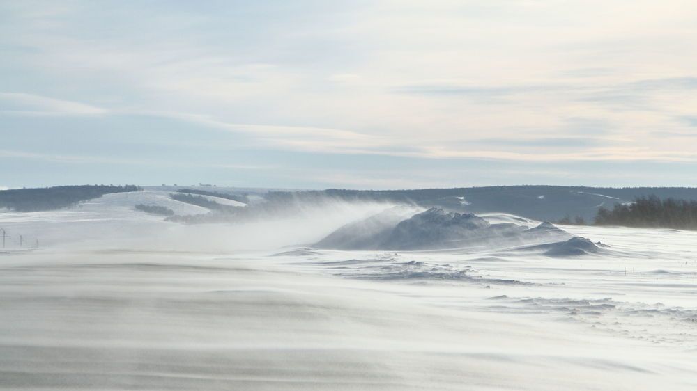 Фотография автора Михаил Кротков