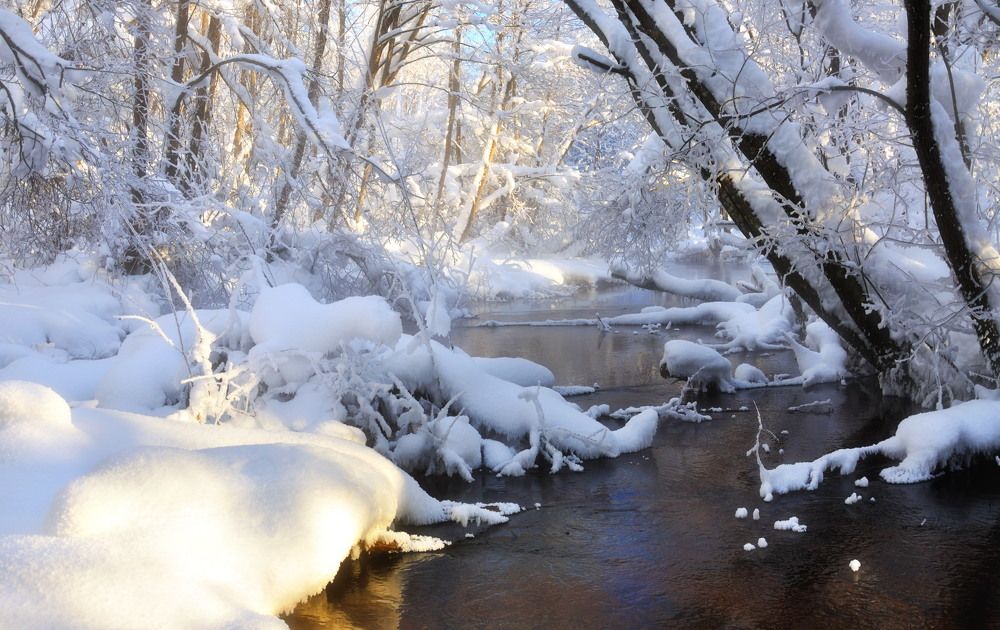 Photograph by Андрей Куликов