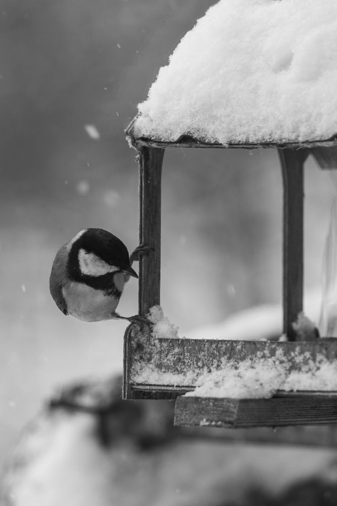 Фотография автора Aamoda Kitchen