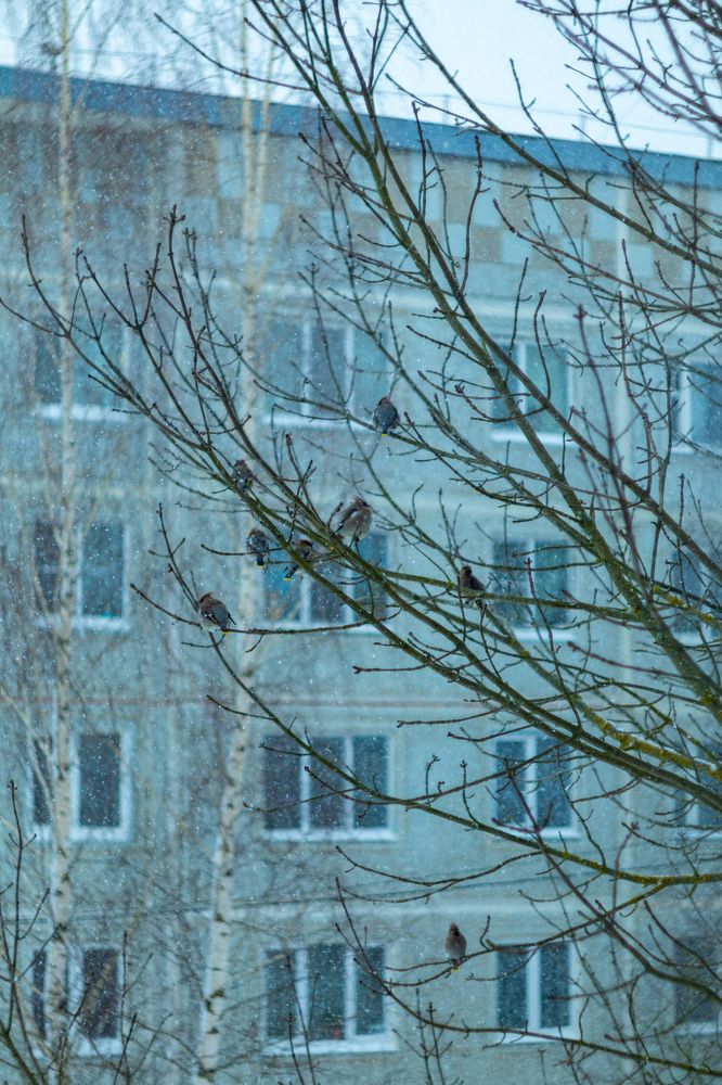 Фотография автора Aamoda Kitchen