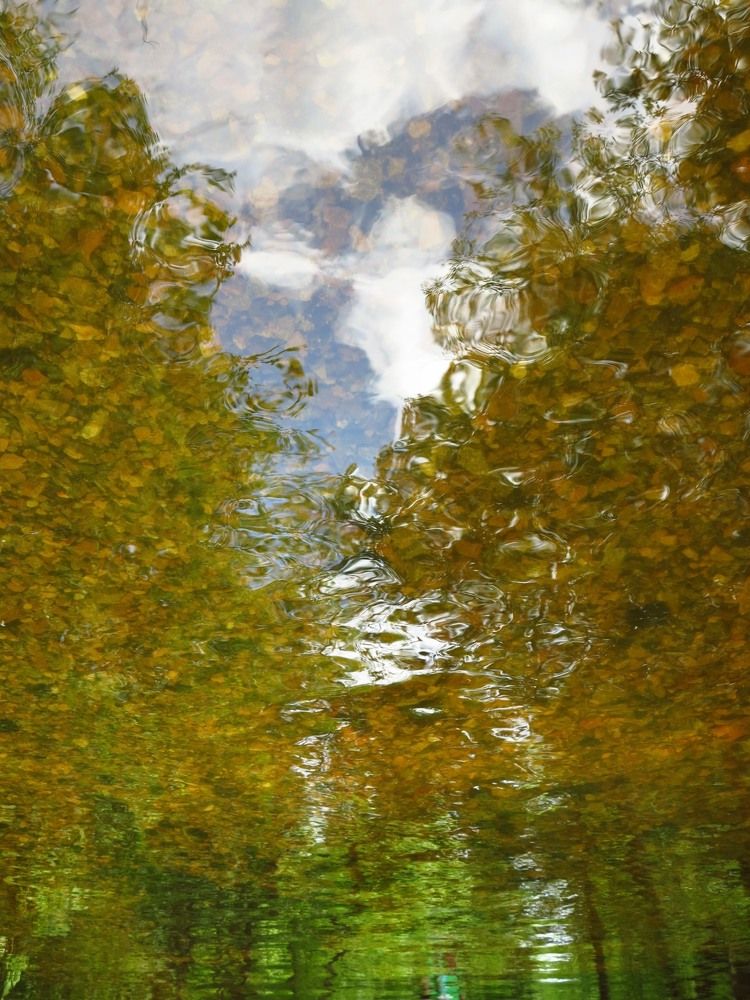 Фотография автора Евгений