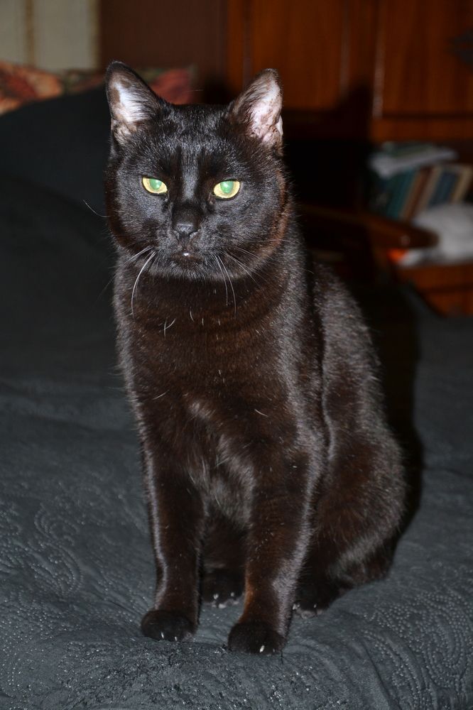 Photograph by Андрей Звездов