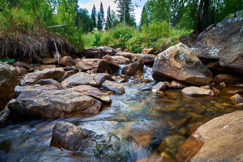Photograph by Василий Дворецкий