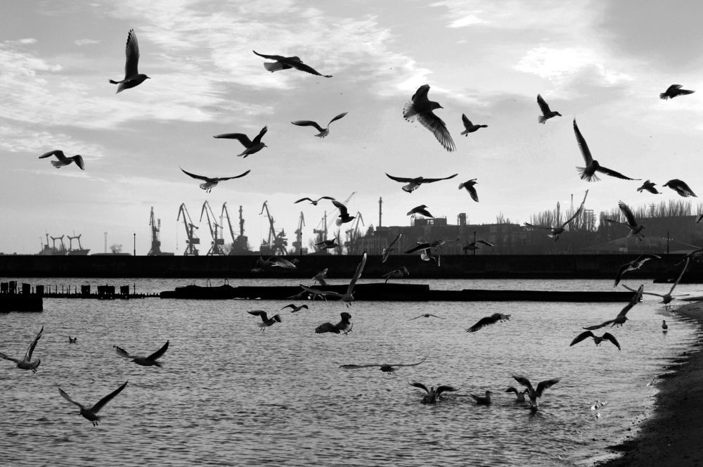 Photograph by Наталья Назаренко