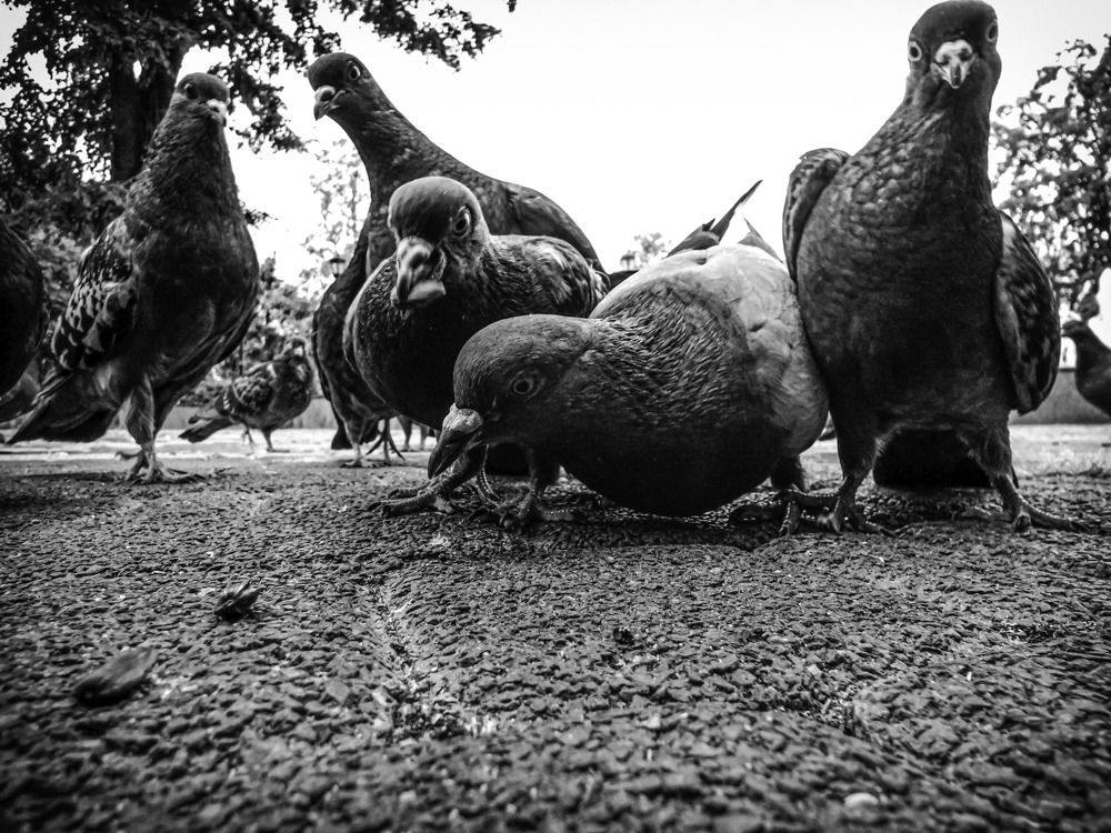 Фотография автора Анастасия Зайчуковская