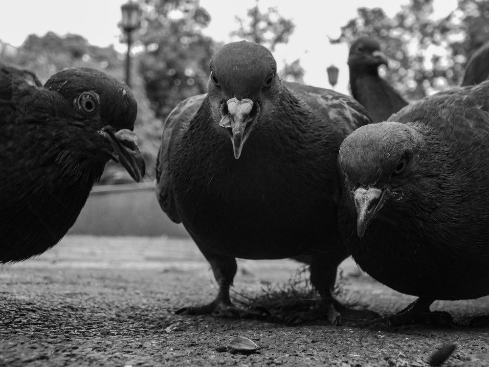 Фотография автора Анастасия Зайчуковская