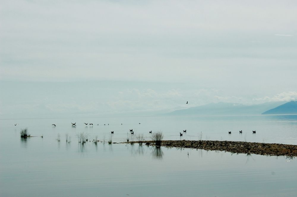Фотография автора Анастасия Ощепкова
