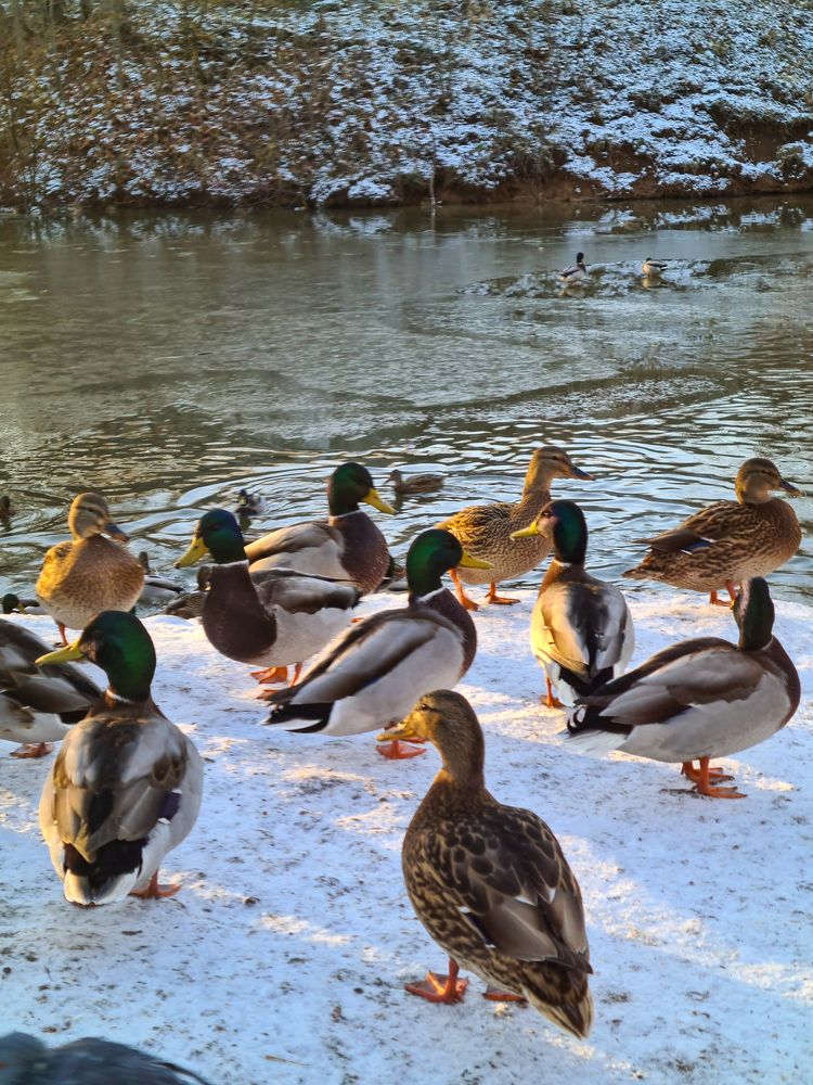 Photograph by Людмила Григорьева