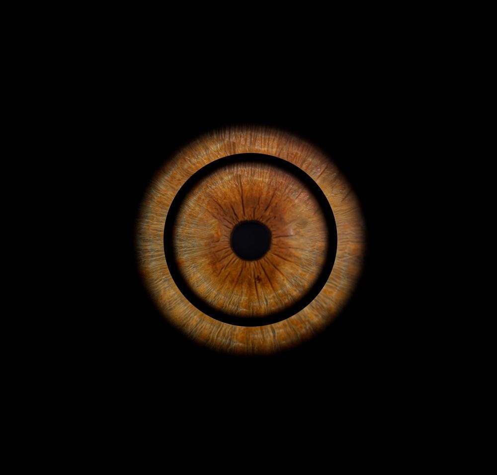 Фотография автора diana van hoof