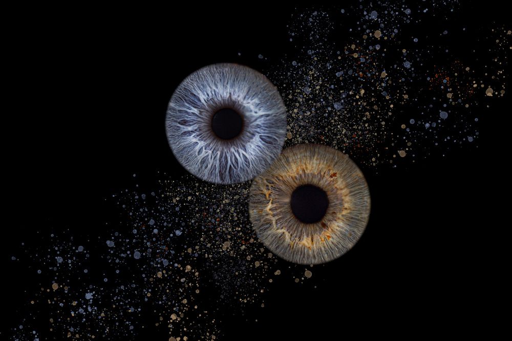 Фотография автора diana van hoof