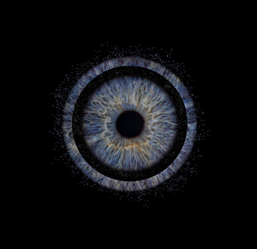 Фотография автора diana van hoof