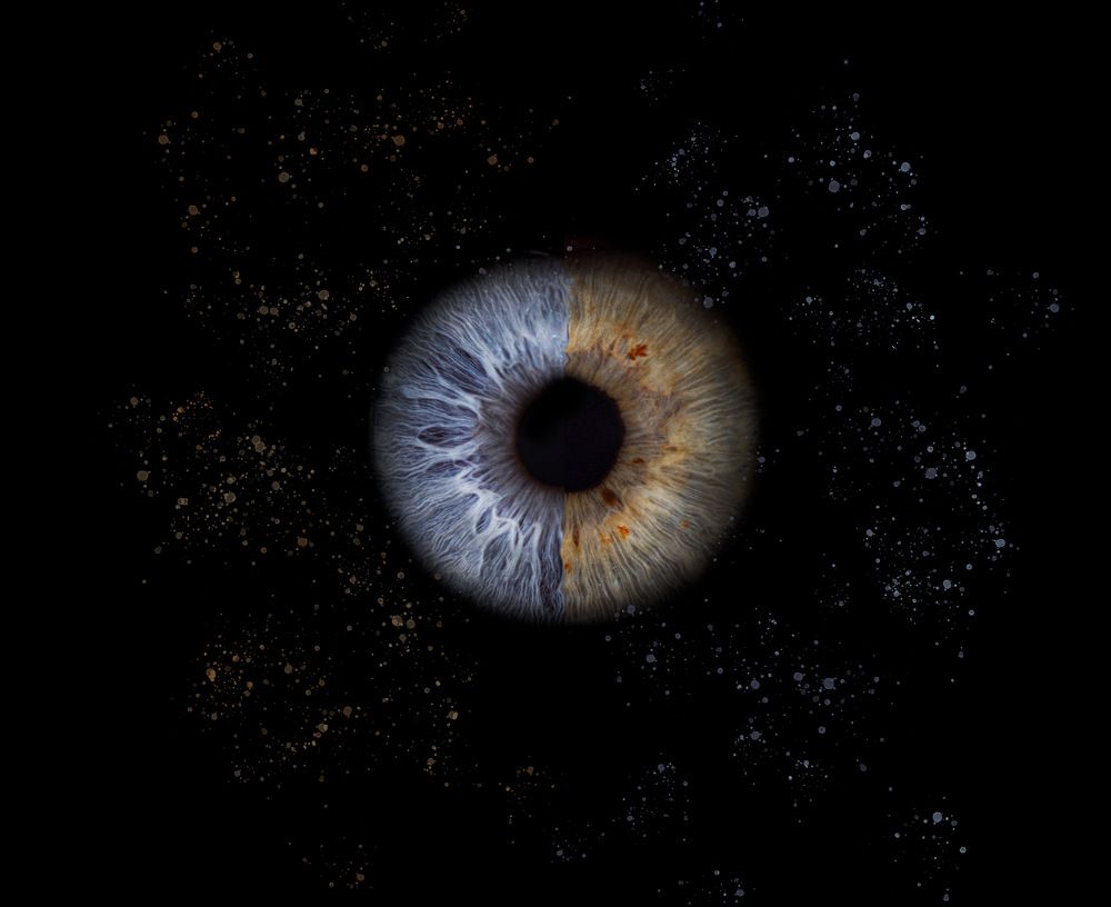 Фотография автора diana van hoof