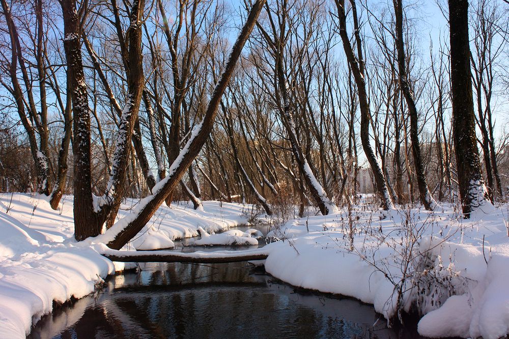 Photograph by Лилия Голд