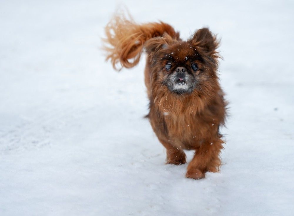 Photograph by Isidora Nikolić