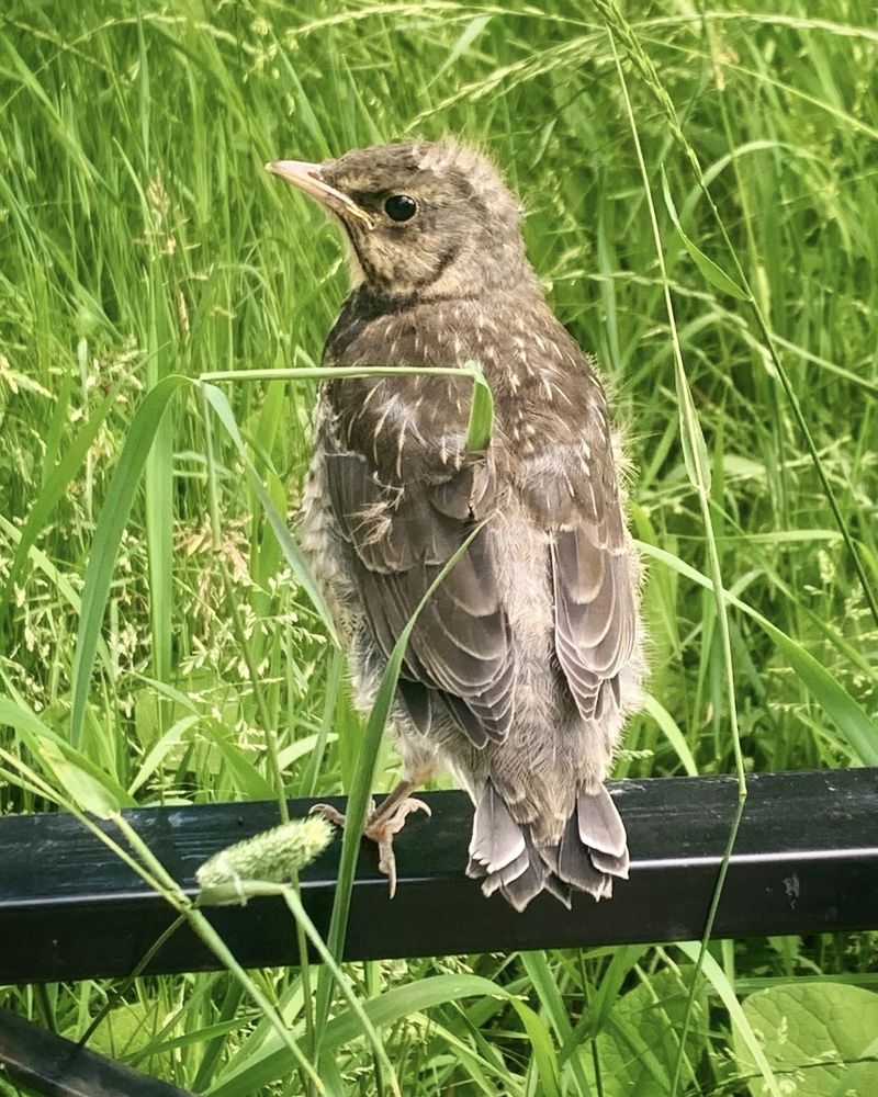 Photograph by Титаренко Людмила