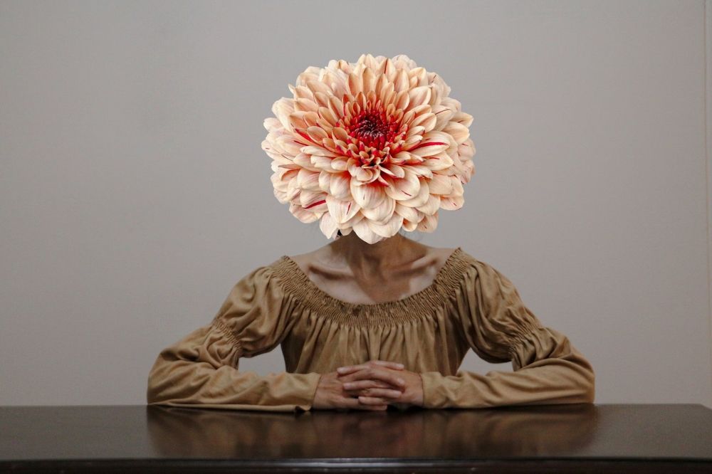 Photograph by Vida khani