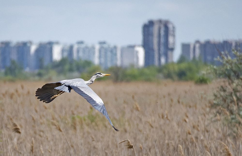 Photograph by Gurdina Lena