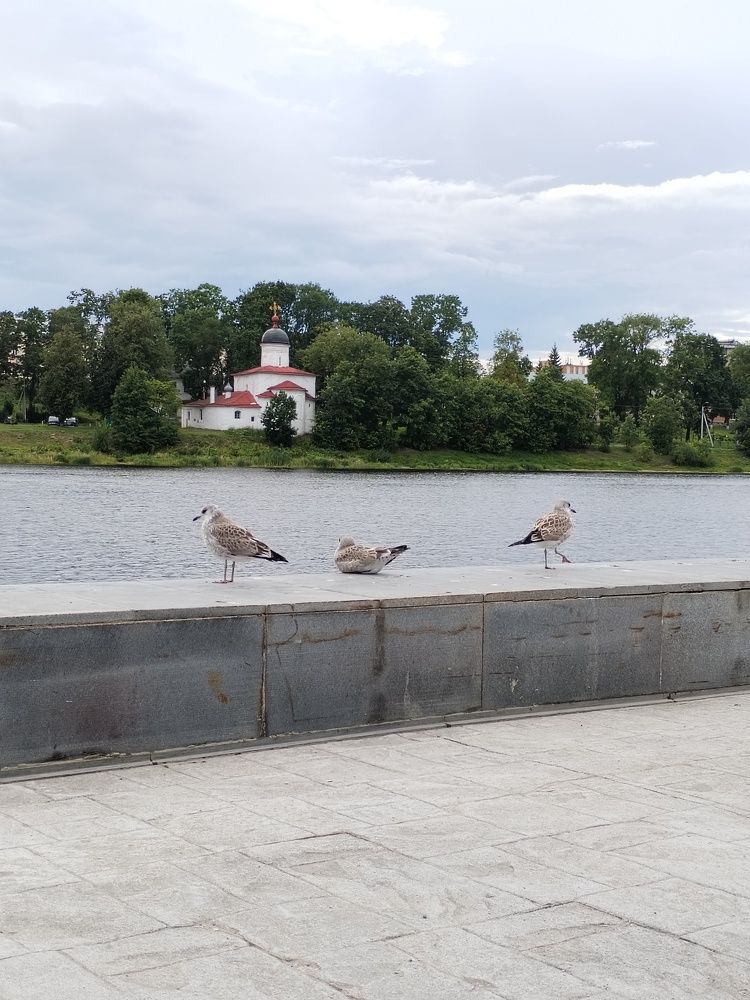 Photograph by Юлия Ю.