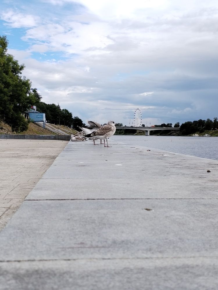 Photograph by Юлия Ю.