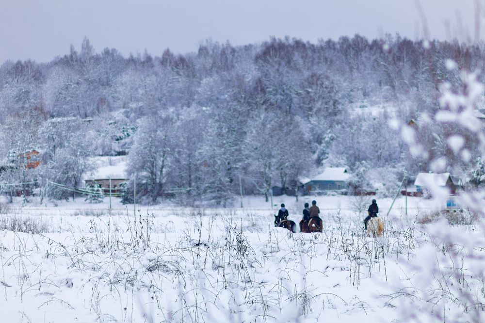 Фотография автора Aamoda Kitchen