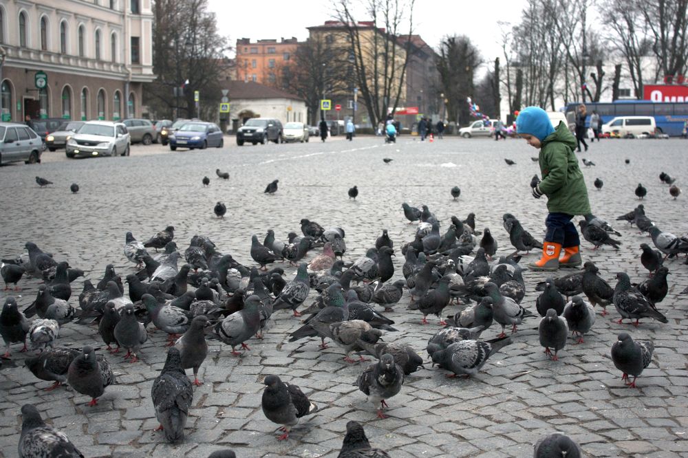 Photograph by Татьяна