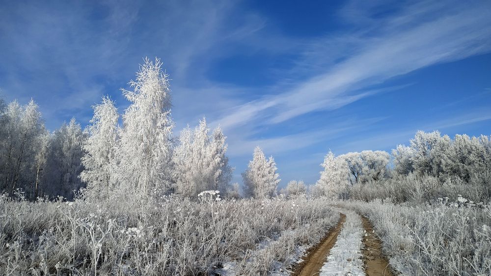 Photograph by Cергей Абакумов
