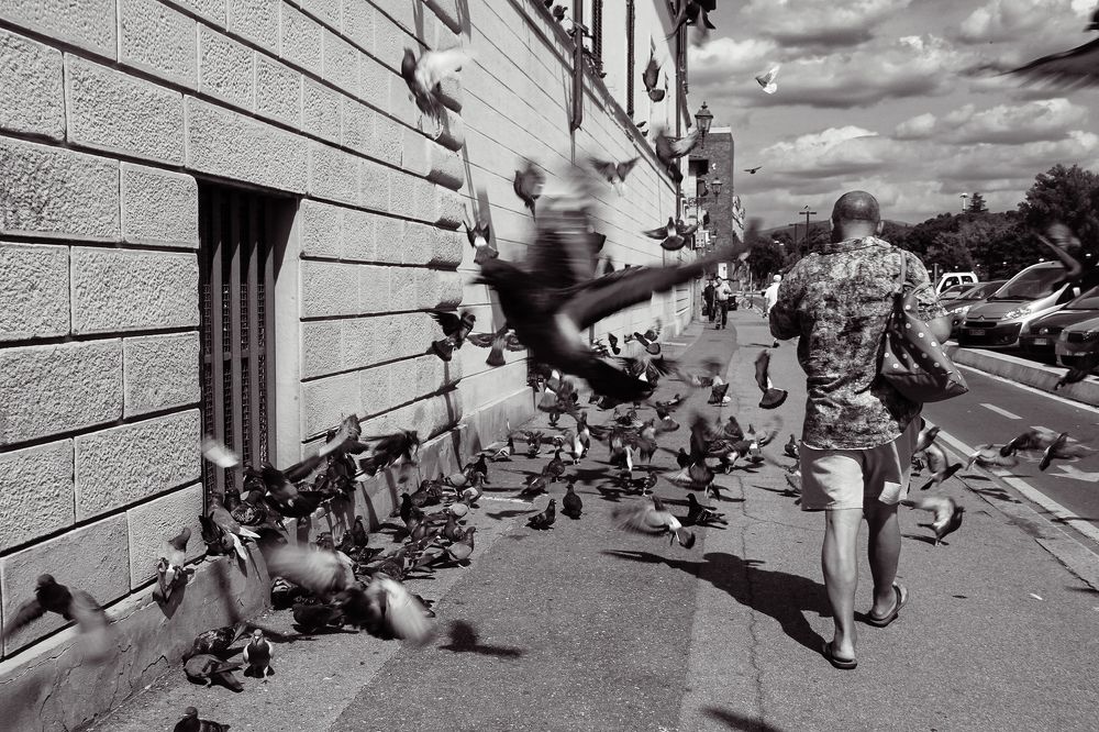 Photograph by Светлана Карнаух