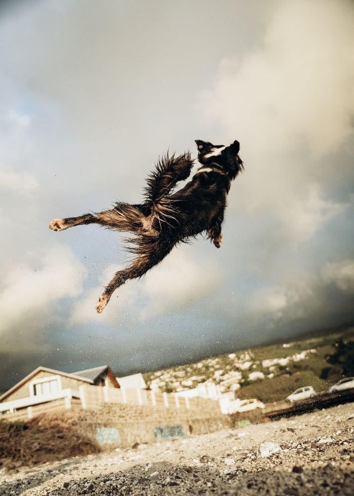 Photograph by Svetlana Pascoal