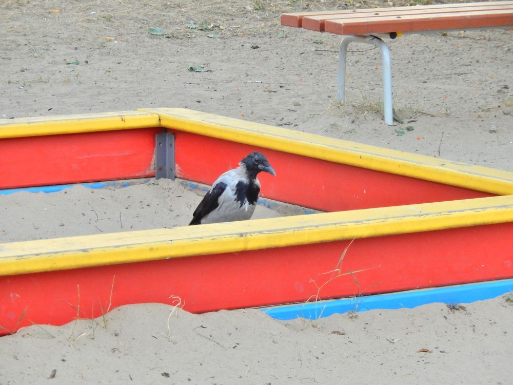 Фотография автора Клавдия Васильева