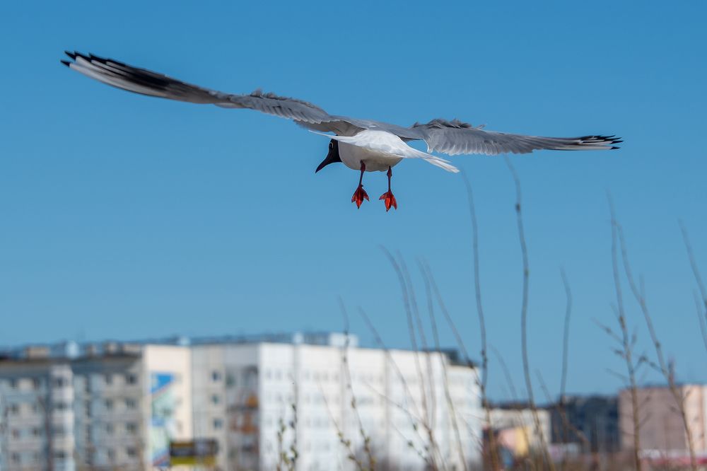 Photograph by Кадырова Марина
