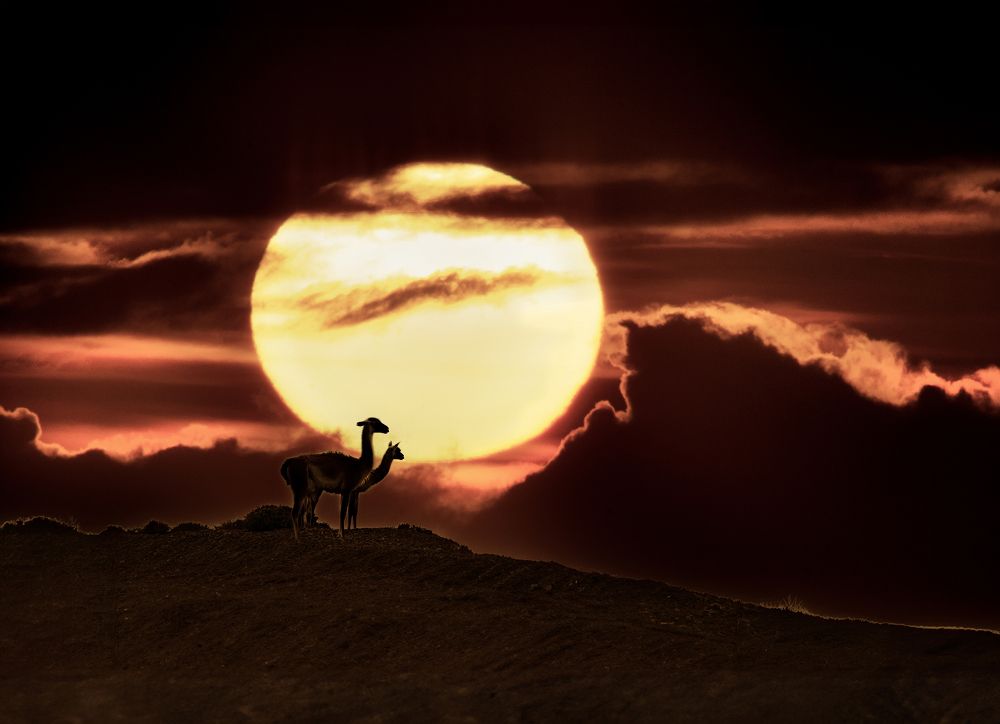 Фотография автора Edgardo Cardenas