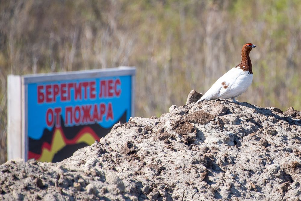 Photograph by Кадырова Марина