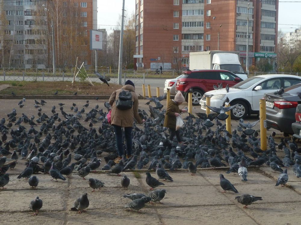 Фотография автора Клавдия Васильева
