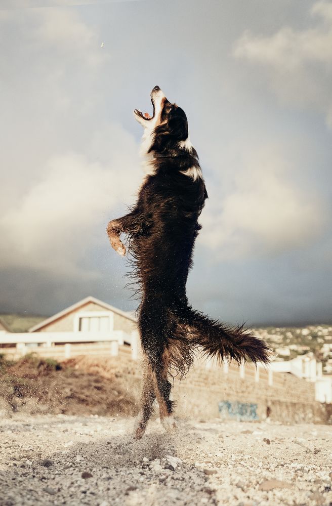 Photograph by Svetlana Pascoal