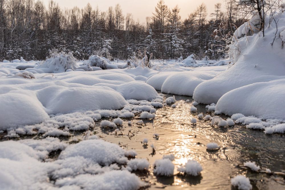 Photograph by Irina Luidinshina