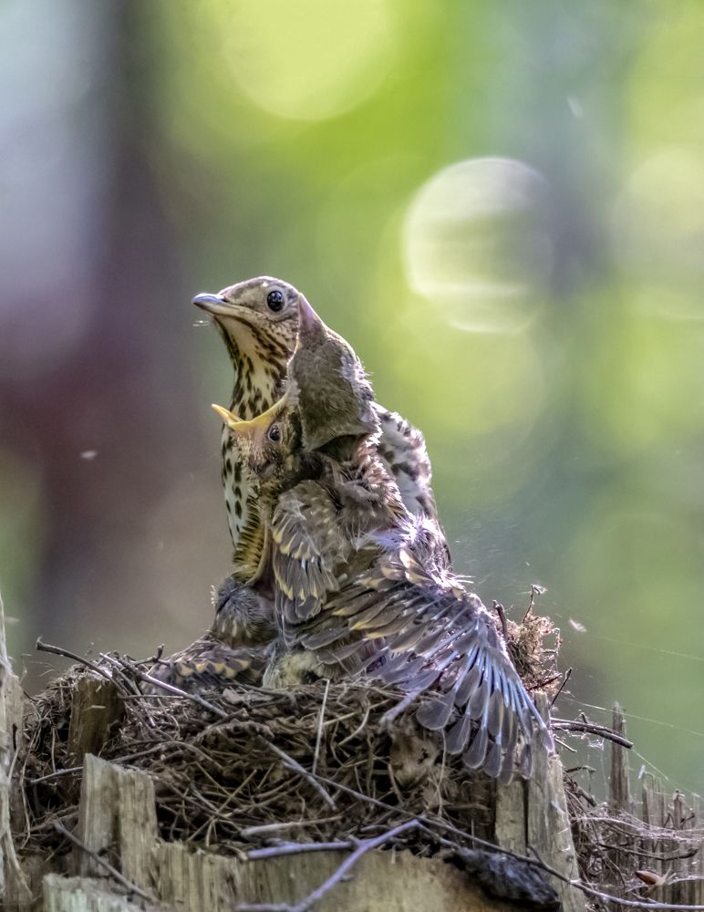 Photograph by Андрей Калинин