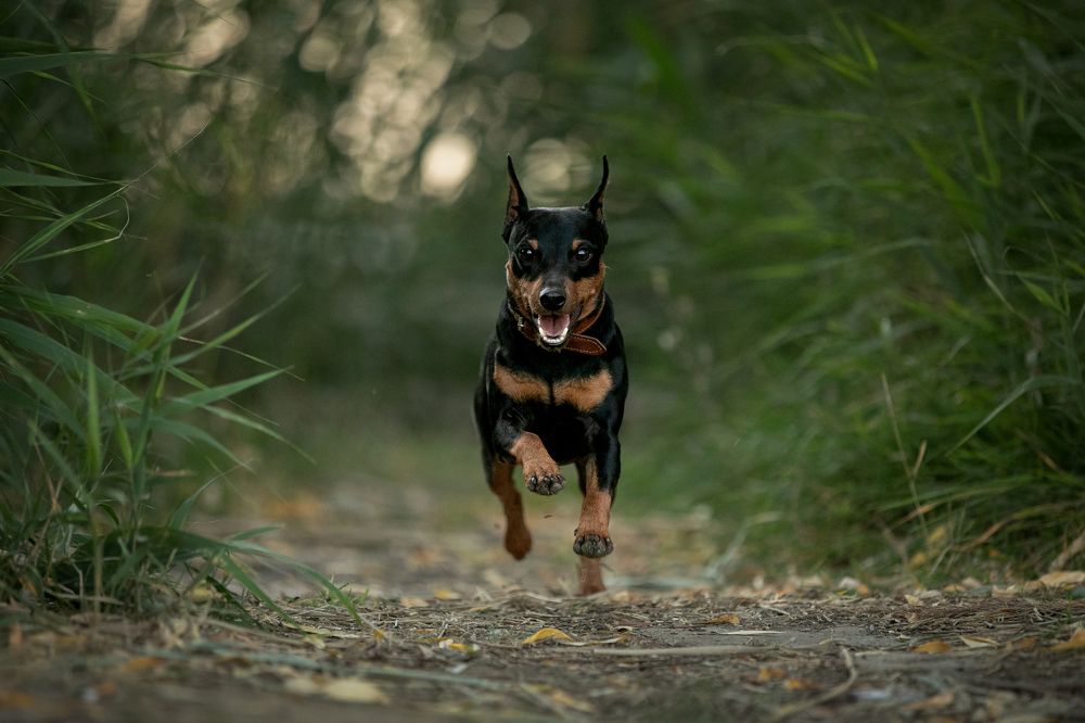 Photograph by Лилия Наконечная