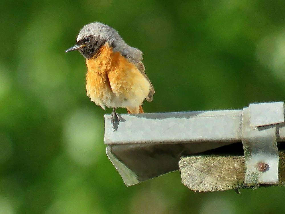 Photograph by Валерия Яскович