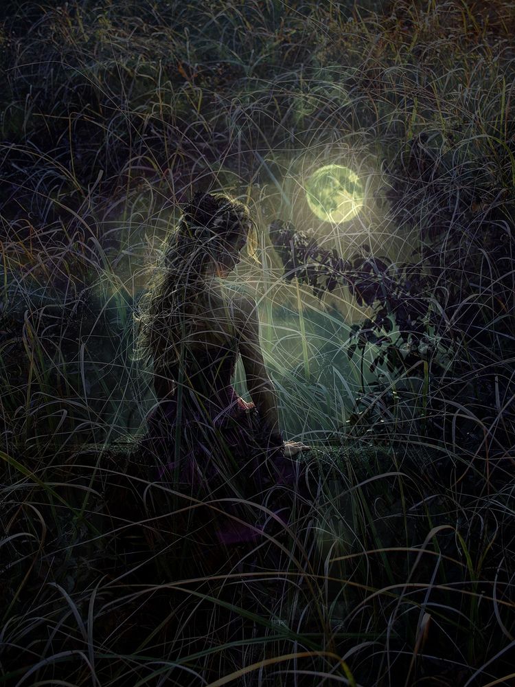 сон в летнюю ночь