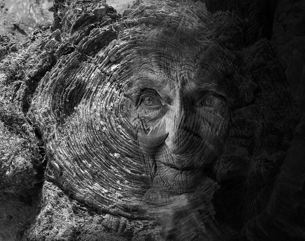 след прожитых лет