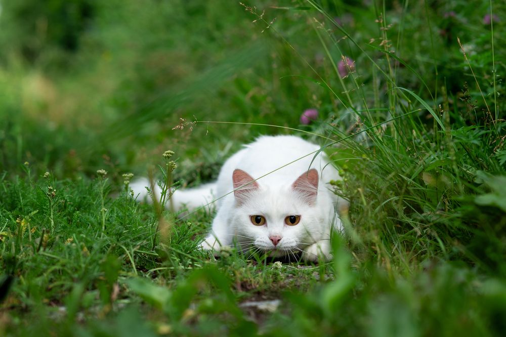 Photograph by Юлия Козельских