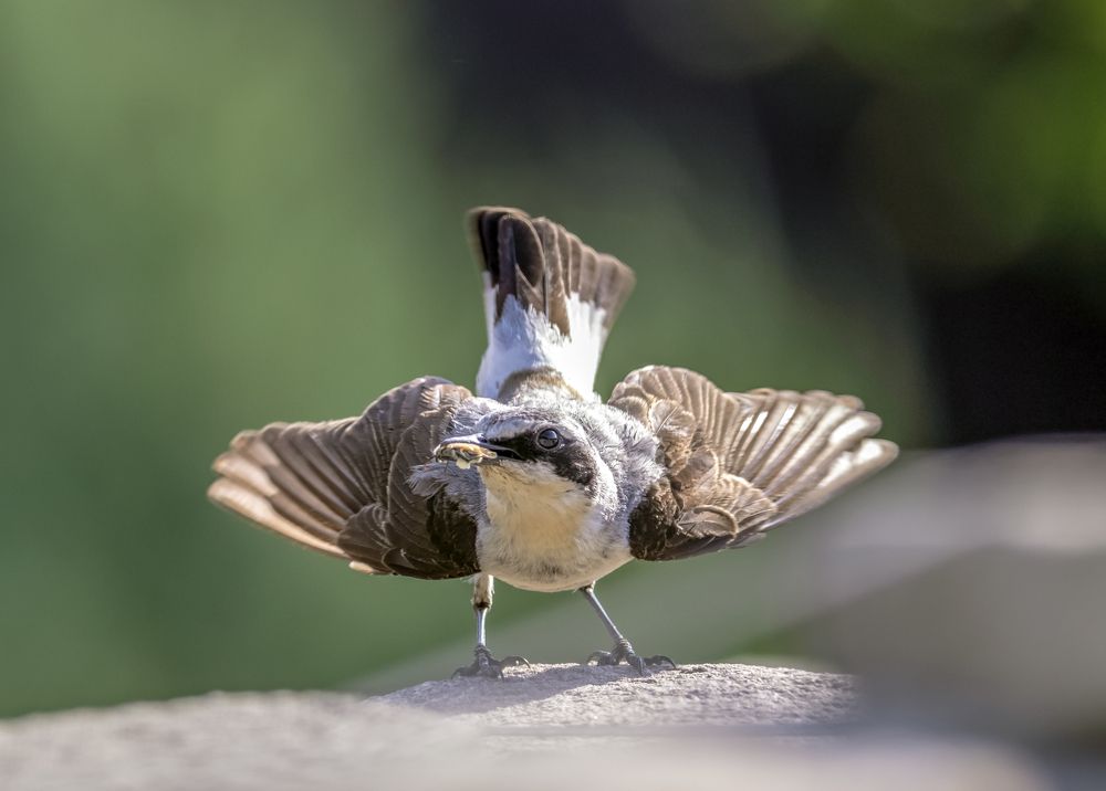 Photograph by Андрей Калинин