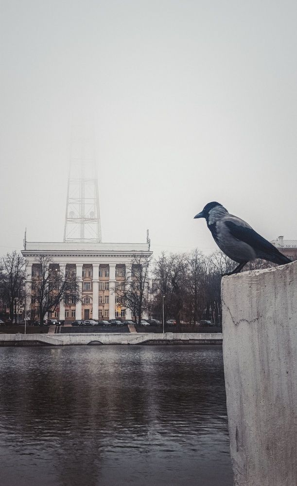 Photograph by Leanid Kulpo