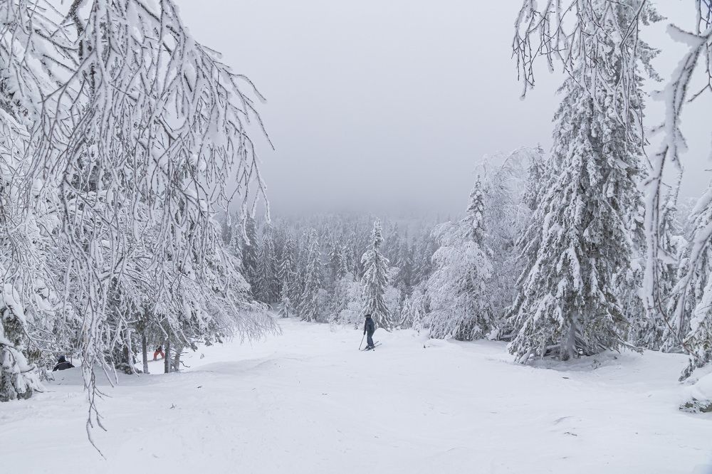 Гора Белая январь 2025