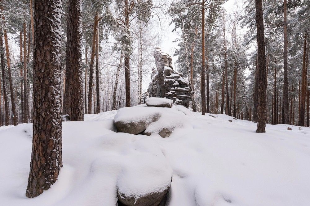 Photograph by Максим Ватрушкин